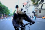 Tencent sfida le IA generative video con HunyuanVideo, il modello AI open source - Notizia