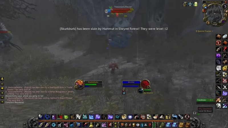 Madskillzhc aggira i sistemi di protezione di Blizzard per eliminare i bot su World of Warcraft attraverso i nemici e l'ambientazione Madskillzhc aggira i sistemi di protezione di Blizzard per eliminare i bot su World of Warcraft attraverso i nemici e l'ambientazione