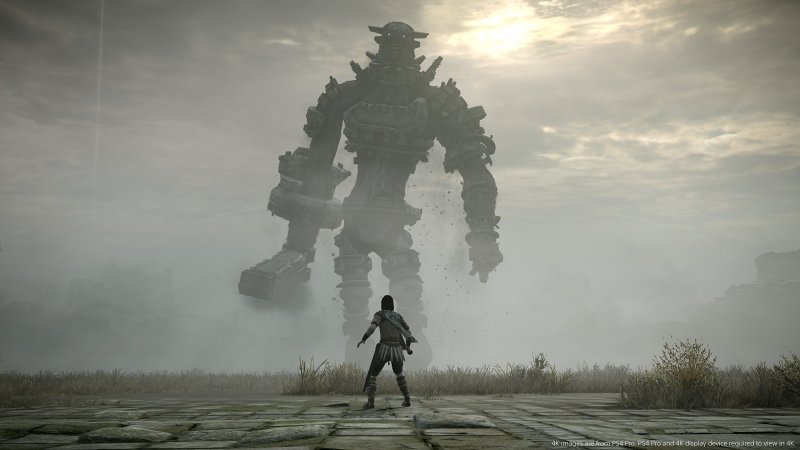 I procedimenti di riduzione, sottrazione e semplificazione sono proprio ciò che ha permesso a opere come Shadow of the Colossus di diventare capolavori