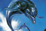 Ecco the Dolphin sta per tornare? Sega ha registrato un nuovo marchio in Giappone - Notizia
