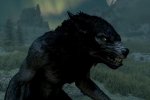 I lupi mannari di Skyrim stavano per essere rimossi, ma un artista ha lavorato in segreto per salvarli - Notizia