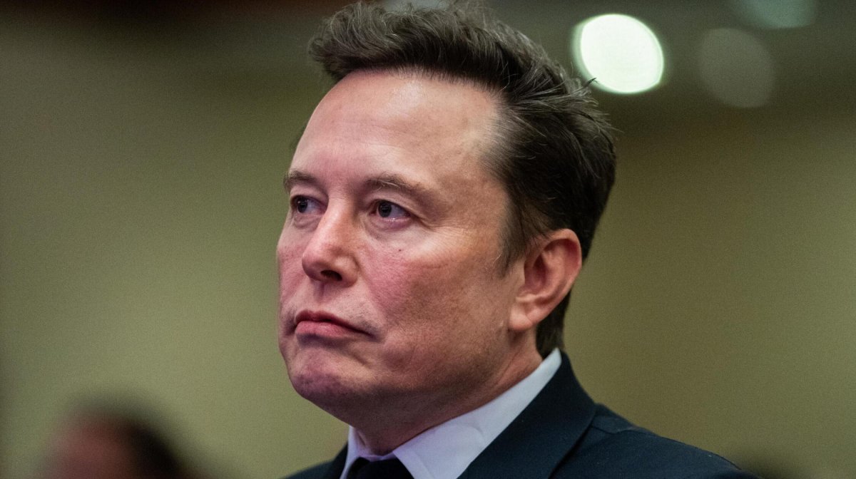 Tiktok Elon Musk tarafından satın alınacak mı? Şimdi bir cevap geliyor