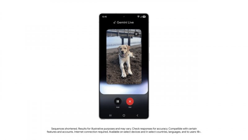 Google Gemini in funzione
