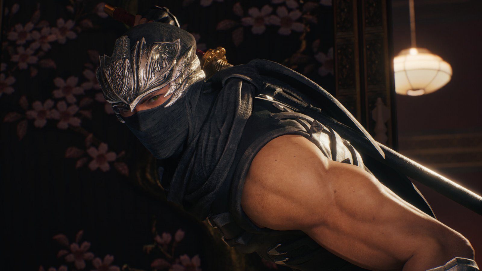 Ryu Hayabusa in Ninja Gaiden 4