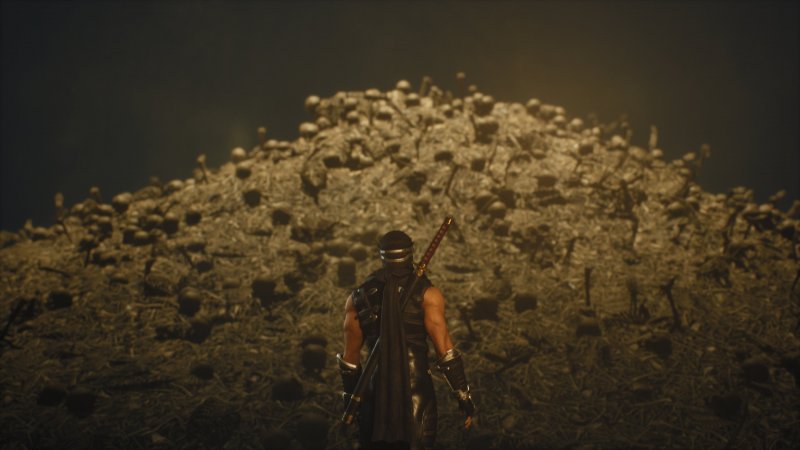 Ninja Gaiden 2 Black