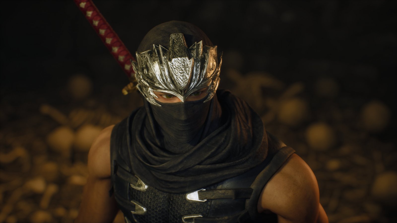 Ryu Hayabusa in Ninja Gaiden 2 Black