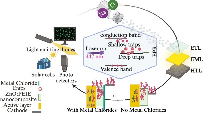 L'immagine che accompagna la pubblicazione dell'American Chemical Society