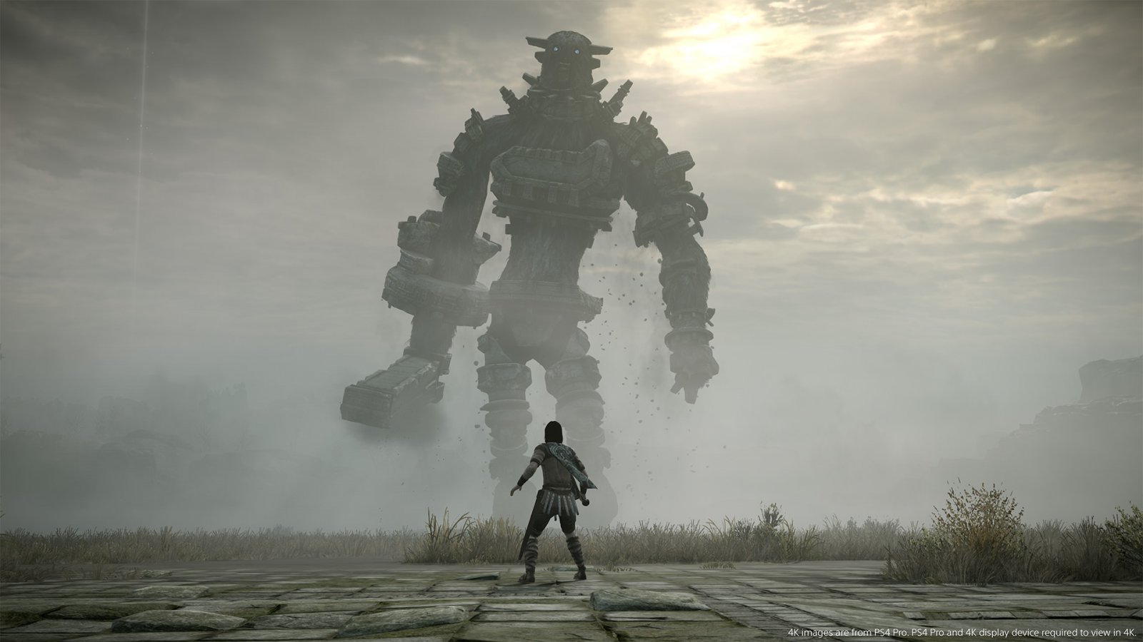 Un'immagine da Shadow of the Colossus