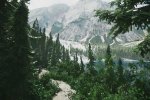 Annunciata la data di uscita di Lushfoil Photography Sim, il gioco di fotografia in Unreal Engine 5 - Notizia