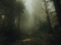 Un trailer di The Occultist illustra il gameplay di questa inquietante avventura