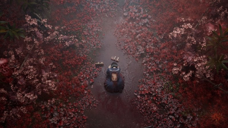 Hinako è come un fiore, ma diverso dagli altri Hinako è come un fiore, ma diverso dagli altri