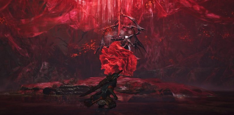 Non è un boss di Elden Ring, è la tana della Lala Barina... Non è un boss di Elden Ring, è la tana della Lala Barina...