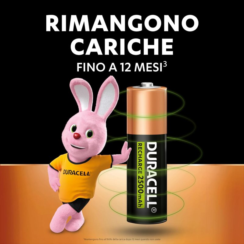 Le batterie promettono 12 mesi di carica mentre non le si usa Le batterie promettono 12 mesi di carica mentre non le si usa