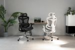 La sedia ergonomica Sihoo Doro C300 è disponibile ad un super prezzo grazie alle offerte del Giorno della Terra - Notizia