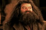 La serie TV di Harry Potter pare aver trovato l'attore per Hagrid e potrebbe essere un'ottima scelta - Notizia