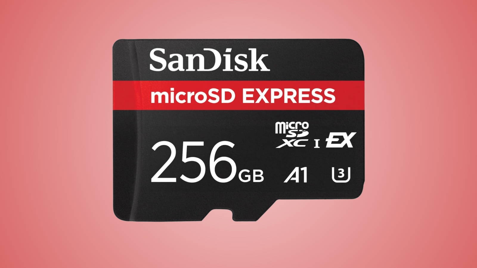 La microSD Express da 256 GB