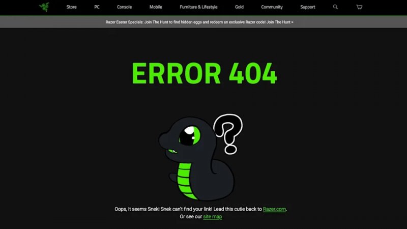 L'errore sulla pagina L'errore sulla pagina