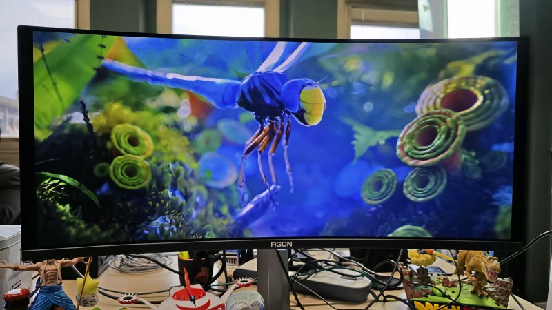 La resa dei colori è ottima La resa dei colori è ottima