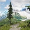 Lushfoil Photography Sim