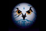 La storia di Psygnosis sarà presto raccontata in un libro - Notizia