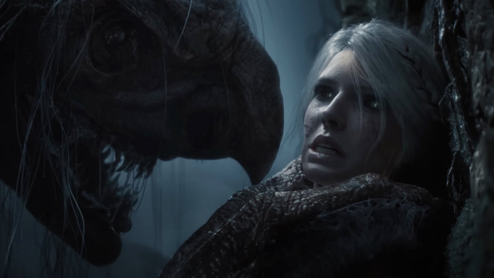 In The Witcher 4 ci saranno idee prese da Il crocevia dei corvi, l'ultimo libro della saga