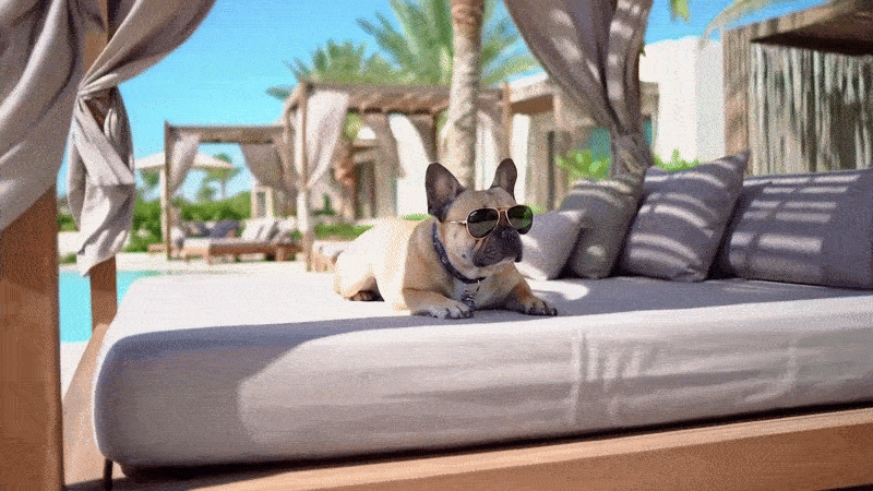 Un video creato con Veo 2