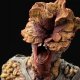 Roberto Burioni ha visto The Last of Us e ha spiegato che difficilmente il Cordyceps potrebbe infettare gli umani