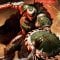 Doom: The Dark Ages è in prenotazione per PC Steam con anche uno sconto, sia standard che Premium