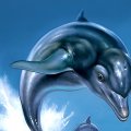 I primi due Ecco the Dolphin stanno per essere rimasterizzati, con un terzo capitolo in lavorazione