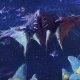 L'aggiornamento Phoenix di Stellaris è stato lanciato in condizioni precarie, Paradox chiede scusa