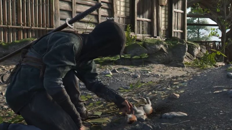 I gatti di Assassin's Creed Shadows I gatti di Assassin's Creed Shadows
