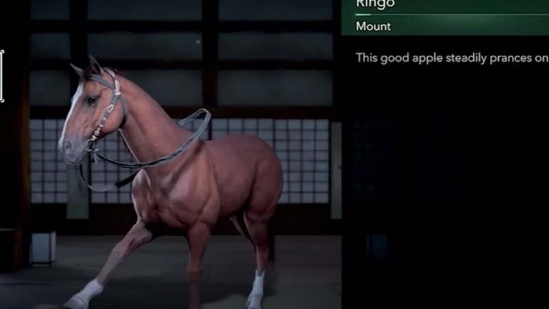 Ringo dei Beatles come un cavallo Ringo dei Beatles come un cavallo