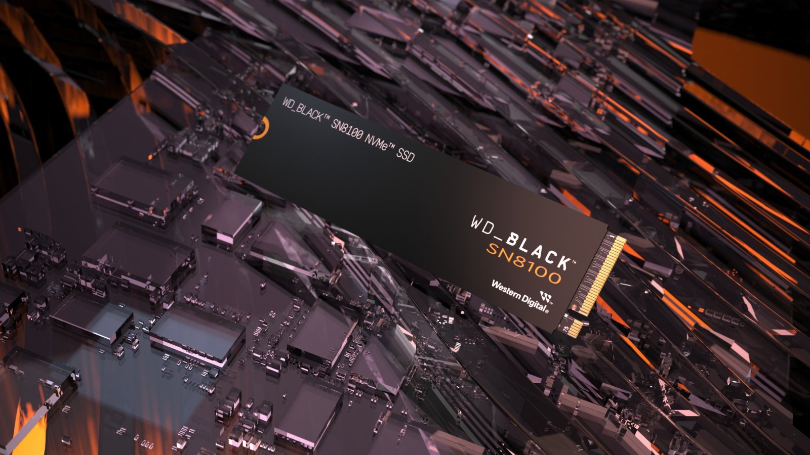 Una immagine del WD_BLACK SN8100