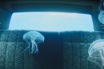 Google lancia Flow: il nuovo strumento per creare video con l’intelligenza artificiale - Notizia