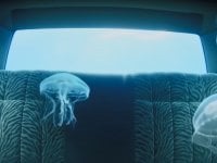 Google lancia Flow: il nuovo strumento per creare video con l’intelligenza artificiale