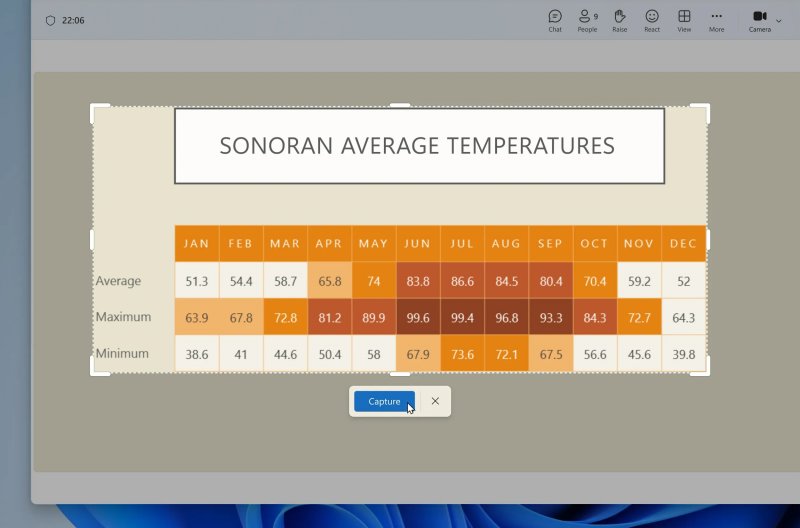 Screenshot automatici