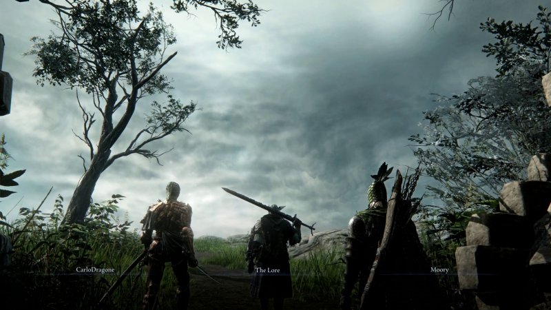 Come tutte le esperienze di questo genere, Nightreign arriva a brillare quando giocato in compagnia