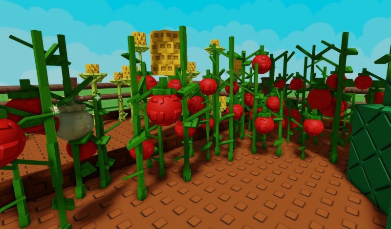 Un campo di pomodori in Grow a Garden Un campo di pomodori in Grow a Garden