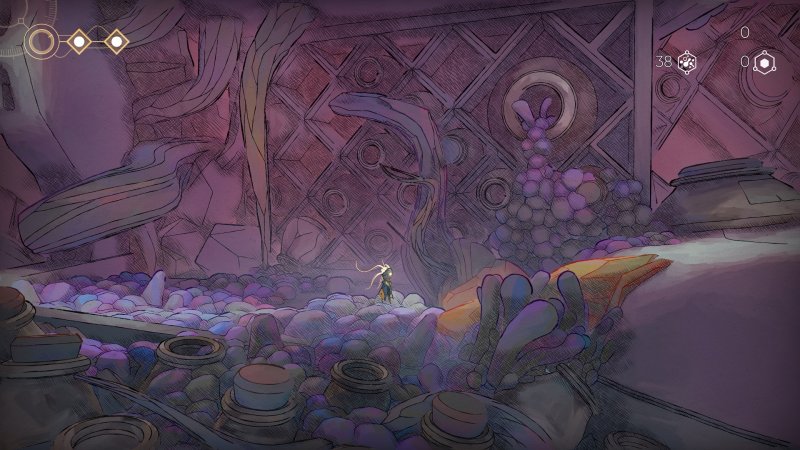 Alle porte del bioma 'boschivo'