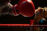 Felt That: Boxing è uno strano gioco di boxe con pupazzi, annunciato al Summer Game Fest 2025 - Notizia
