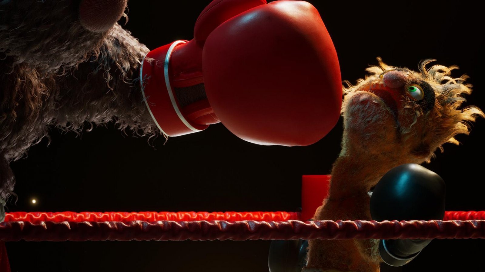 Un match di Felt That: Boxing