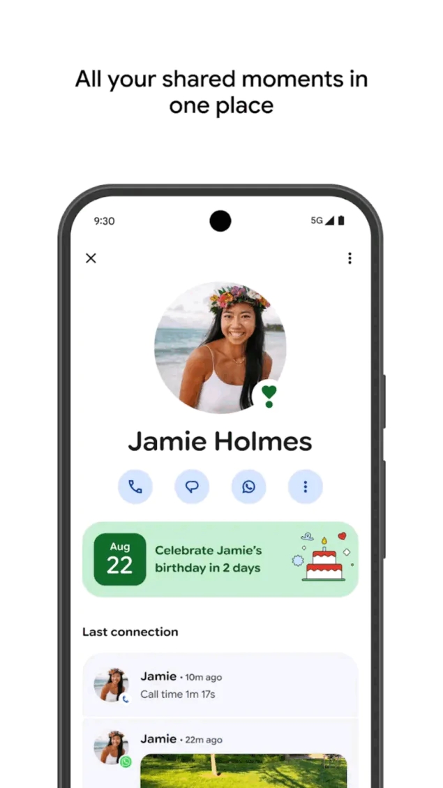 L'interfaccia di Pixel VIP