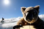 Meta AI lancia 50 preset per generare video realistici, anche nel cuore del deserto - Notizia