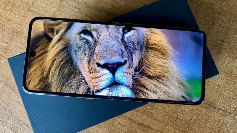 Il display principale di Motorola Razr 60 Ultra è di gran qualità e la piega è quasi invisibile Il display principale di Motorola Razr 60 Ultra è di gran qualità e la piega è quasi invisibile