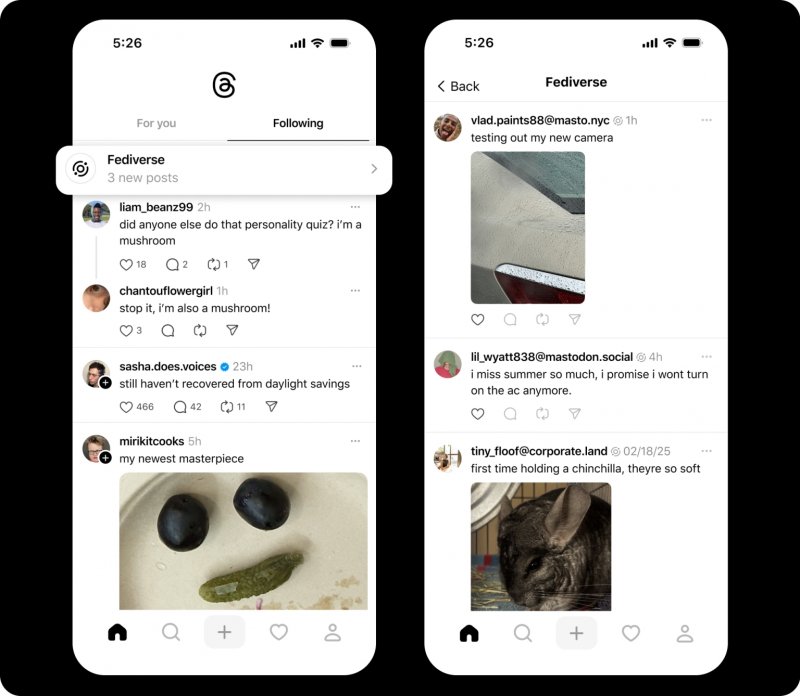 Un esempio del Fediverse