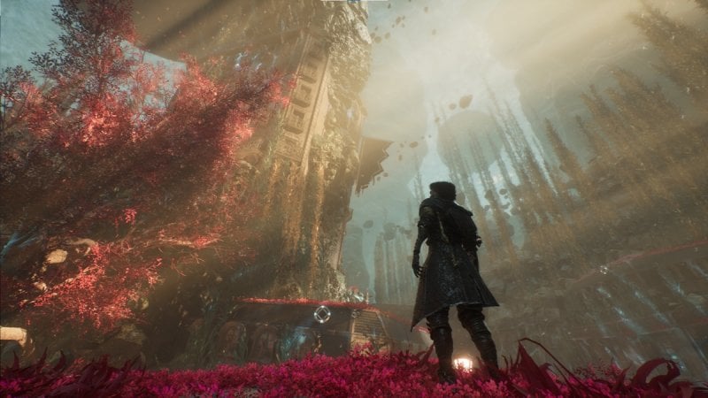 E voi che esperienza avete avuto con l'esplorazione? Vi siete sentiti persi? E se sì, è stato frustrante?