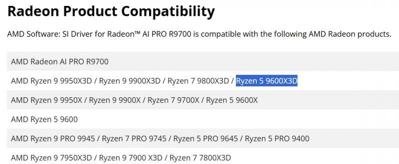 La pagina dove è apparsa la CPU AMD Ryzen 9600X3D La pagina dove è apparsa la CPU AMD Ryzen 9600X3D