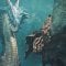 Data di uscita e dettagli del Title Update 2 gratuito di Monster Hunter Wilds trapelano dal sito PlayStation