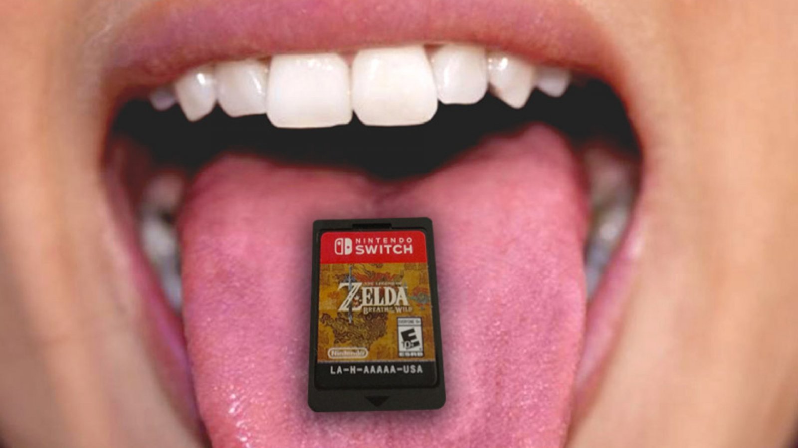 Una cartuccia di Nintendo Switch