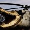 Dietro alla prima ondata di mod di S.T.A.L.K.E.R. 2, pare esserci uno sviluppatore di GSC Game World